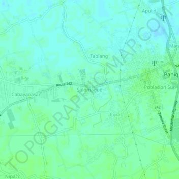 Salomague topographic map, elevation, terrain