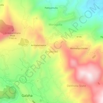 Bellwood topographic map, elevation, terrain