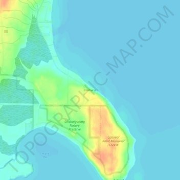 Elmhurst topographic map, elevation, terrain