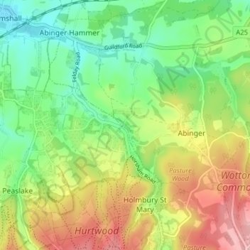 Sutton Abinger topographic map, elevation, terrain