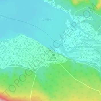 Dhikala topographic map, elevation, terrain