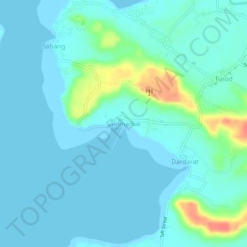 Salomague topographic map, elevation, terrain