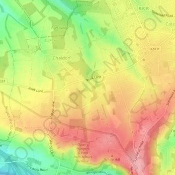 Chaldon topographic map, elevation, terrain