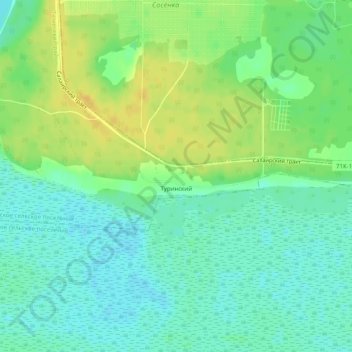 Туринский topographic map, elevation, terrain